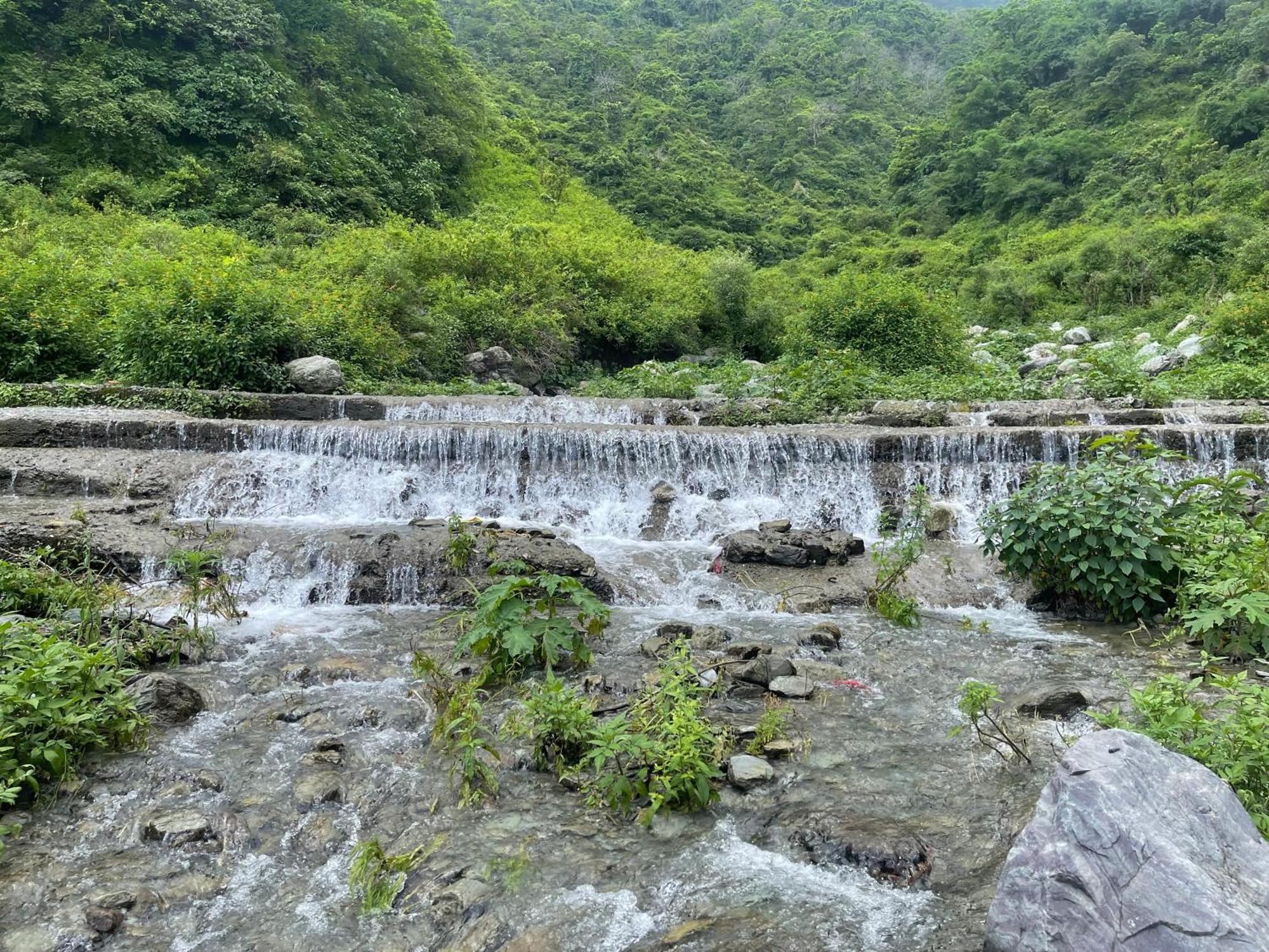 Hidden Nature Resort Дехрадун Екстериор снимка